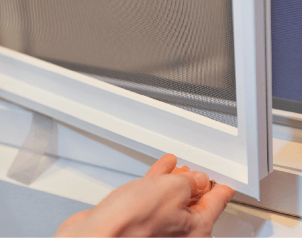 Manoeuvre insectifix Manoeuvre insectifix