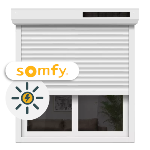 Volet roulant moteur solaire Somfy RS100 - Garantie 7 ans